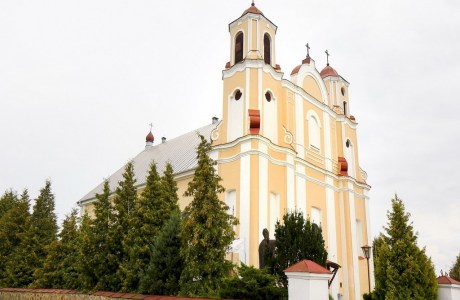 Костел Святого Иоанна Крестителя в д. Василишки