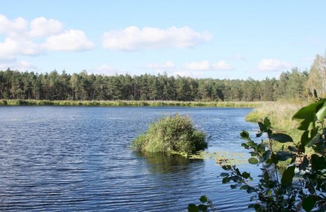 Гидрологический заказник местного значения «Святое Озеро»