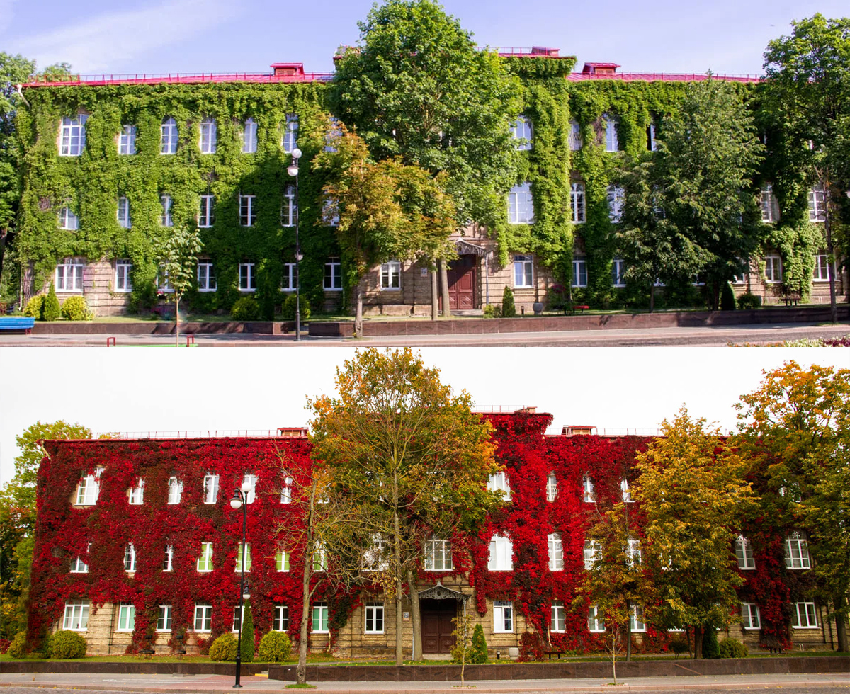 ozheshko03
