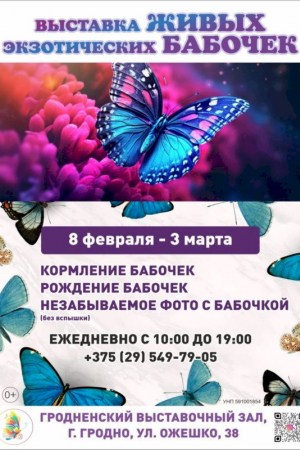 Выставка живых экзотических бабочек