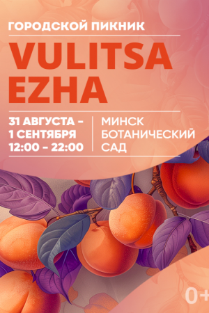 Городской пикник Vulitsa Ezha