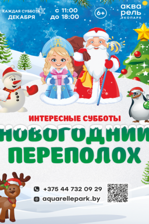 Интересные субботы «Новогодний переполох»