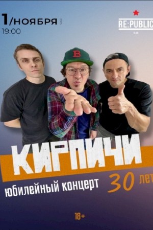 Кирпичи
