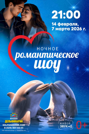 Дельфинарий. Ночное шоу