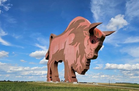 Жанровая скульптура Зубр