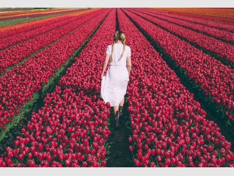 На Полесье открыли фестиваль тюльпанов. Он будет ежегодным!