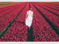 На Полесье открыли фестиваль тюльпанов. Он будет ежегодным!