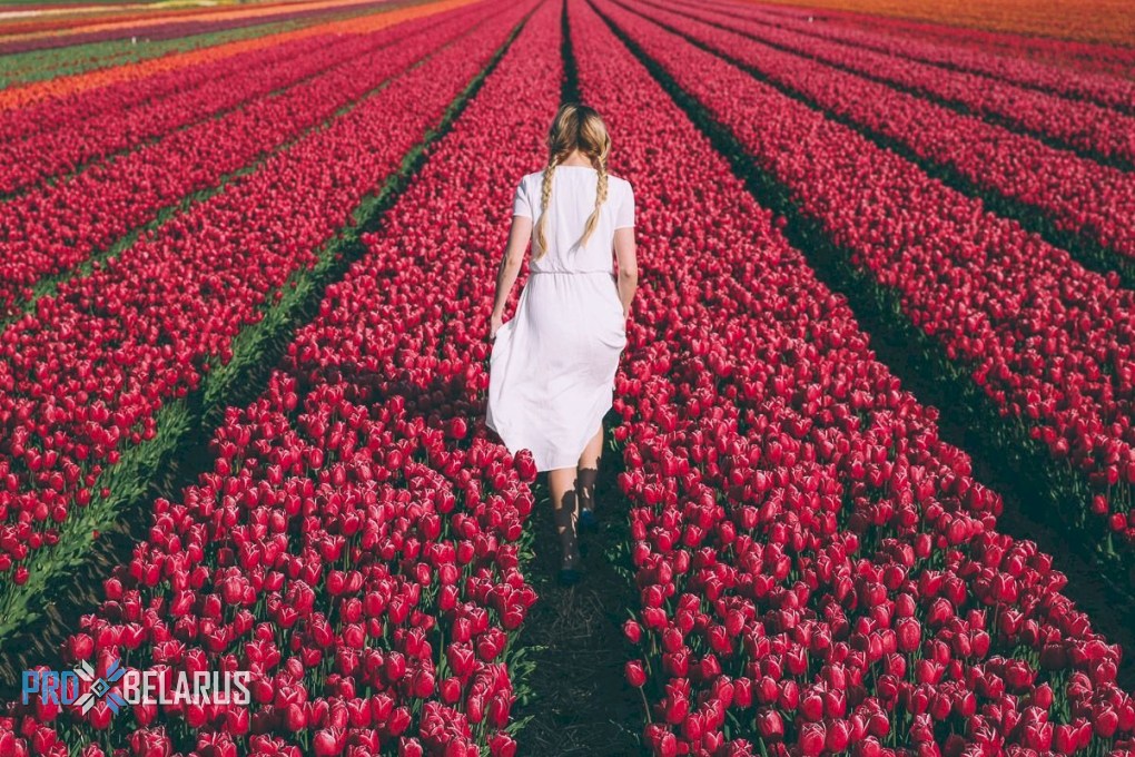 На Полесье открыли фестиваль тюльпанов. Он будет ежегодным!