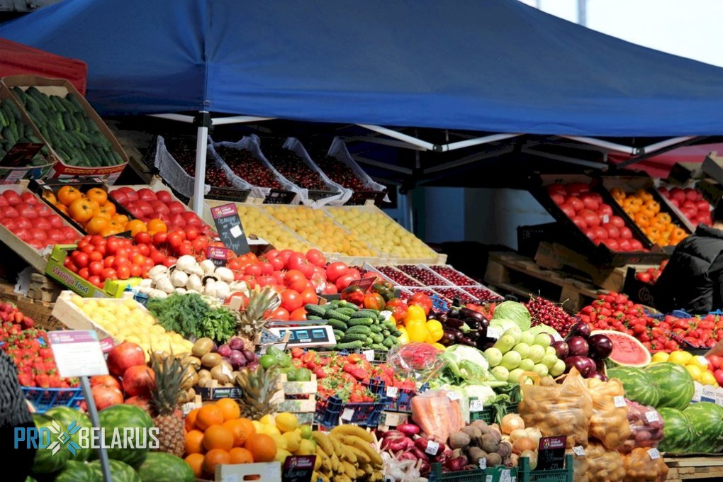 Продуктовый туризм в Беларусь: не путать с гастрономическим!
