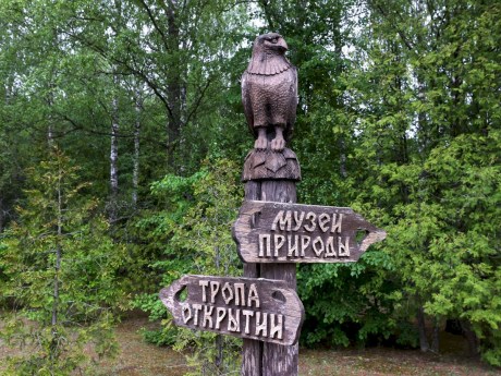 100 тысяч туристов в год: почему Березинский заповедник бьёт рекорды по посещаемости