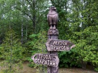 100 тысяч туристов в год: почему Березинский заповедник бьёт рекорды по посещаемости