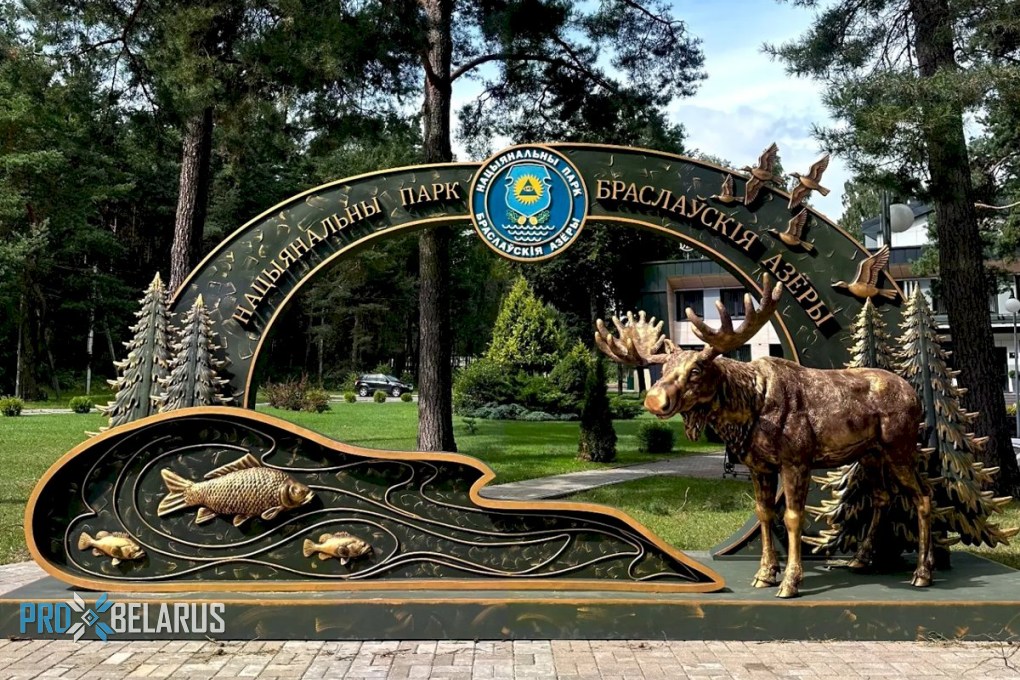 В Национальном парке «Браславские озёра» установили 6-метровую стелу с лосём!