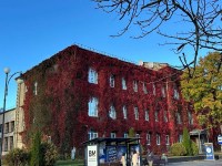 Не музей, не замок: почему главной фотолокацией Гродно стал университет