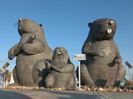 Самые большие бобры в Беларуси: в посёлке Бобр открыли новую площадь