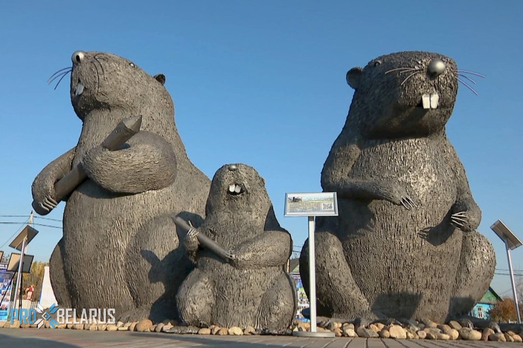 Самые большие бобры в Беларуси: в посёлке Бобр открыли новую площадь