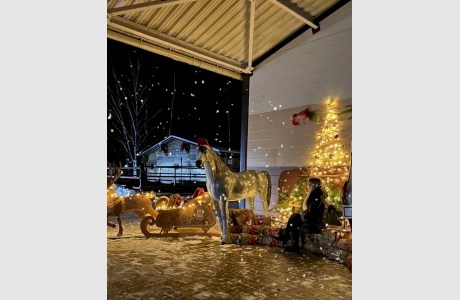 Этно-культурный туристический комплекс «Наносы Отдых»