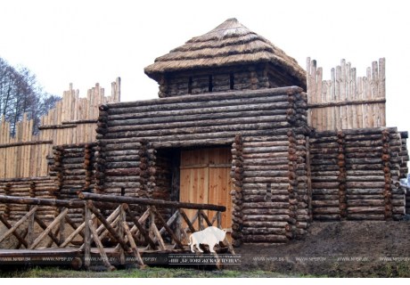 В Беловежской пуще создается музей древнего человека