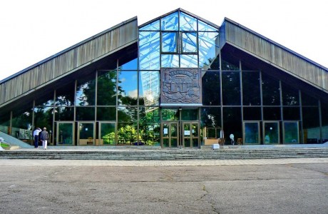 Археологический музей «Берестье»