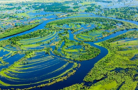 Государственное природоохранное учреждение «Национальный парк «Припятский»