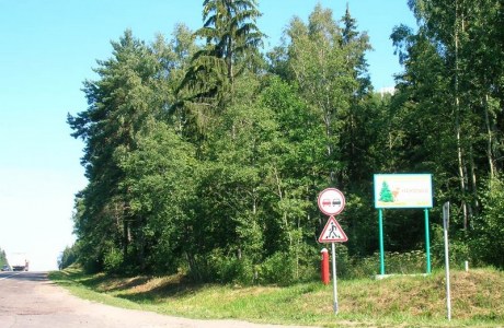 Государственное лесохозяйственное учреждение «Красносельское»
