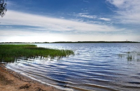 Озеро Любань в Кобринском районе