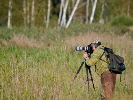 Путешествия с фотокамерой белорусам планируют предложить в Налибокской пуще