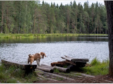 Браславские озера ждут в этом году наплыва туристов из России