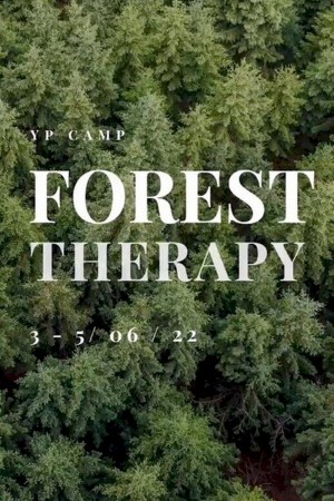 Forest therapy: Единение с природой