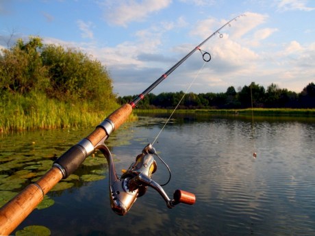 Беларусь – настоящее Эльдорадо для рыболовов