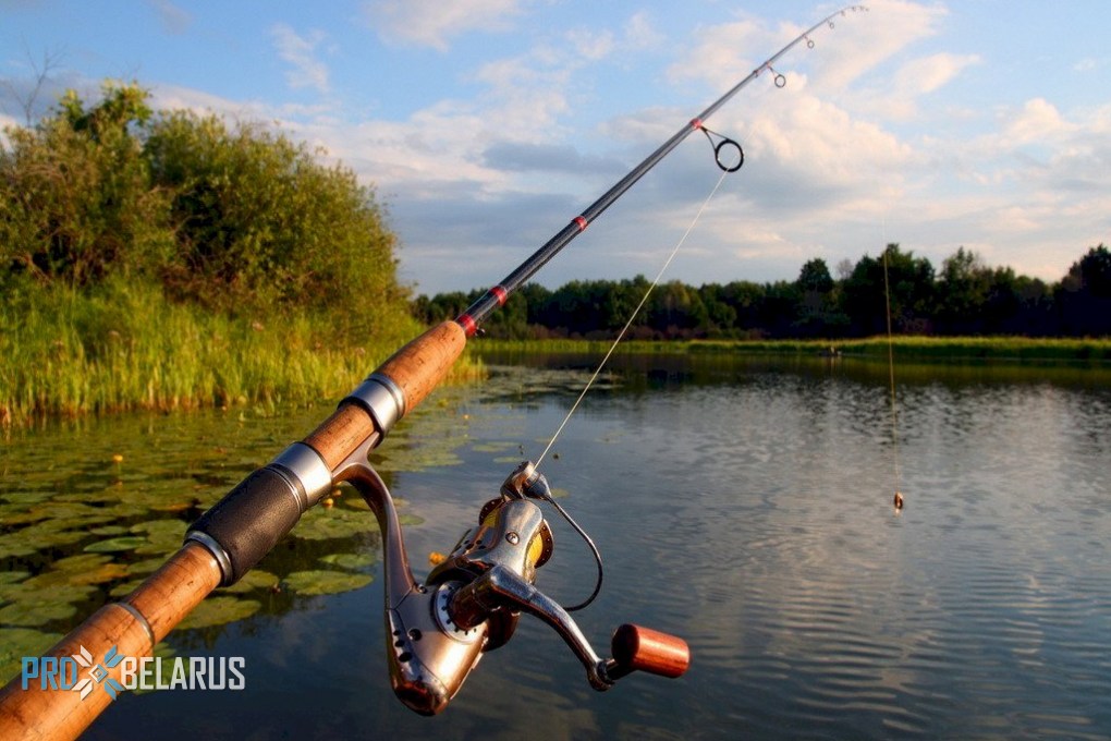Беларусь – настоящее Эльдорадо для рыболовов
