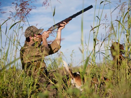 Беларусь - настоящее Эльдорадо для охотников