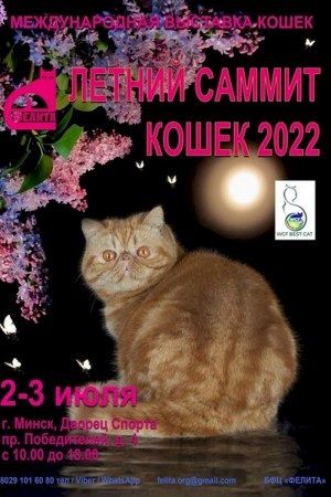 Международная выставка кошек «Летний саммит кошек 2022»