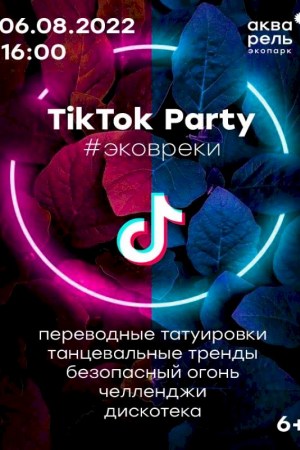 Детская вечеринка TikTok Party