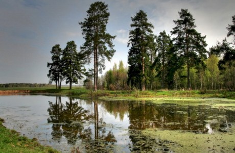 Гидрологический заказник местного значения «Зазерье-Бадеево»