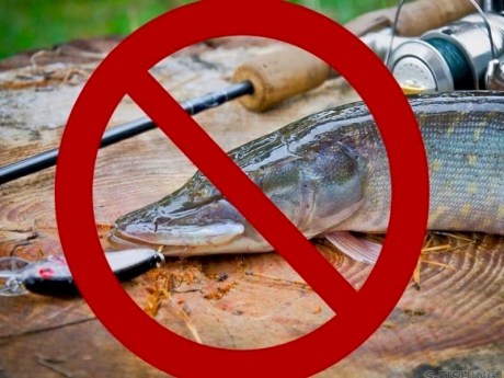 С 1 октября запрещается ловить рыбу в местах ее зимовки