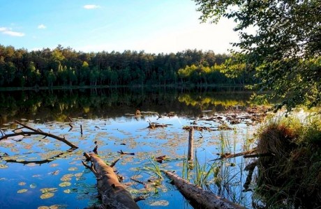 Гидрологический заказник местного значения «Святое озеро»