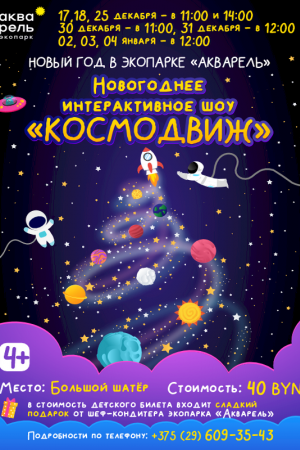 Новогоднее интерактивное шоу «КОСМОДВИЖ»