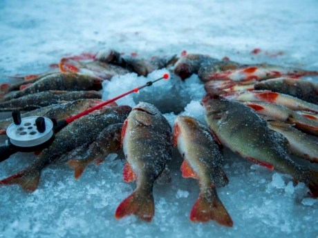 Нарочанский парк приглашает на двухдневный зимний рыболовный тур выходного дня 
